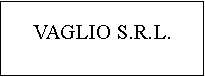 Cuadro de texto: VAGLIO S.R.L.